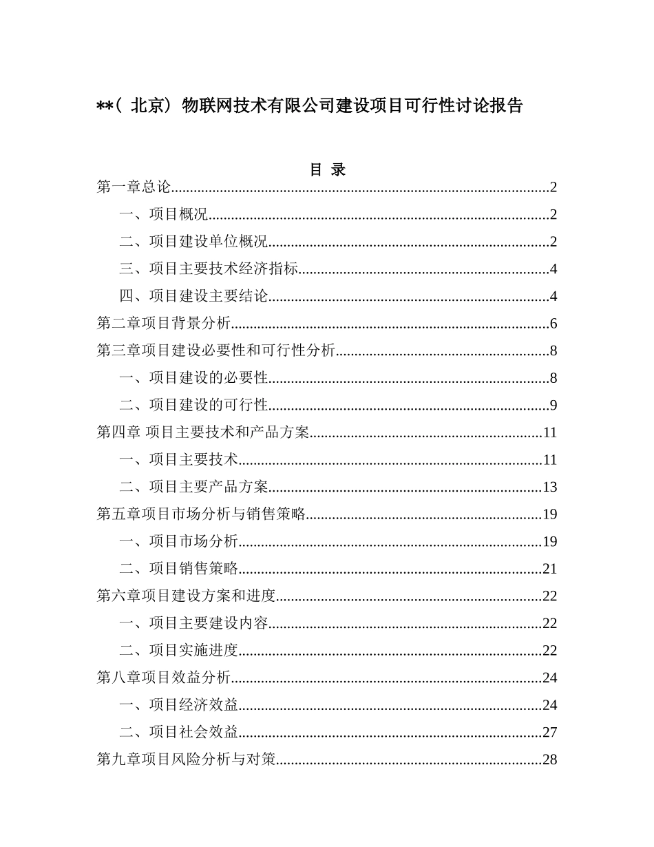 北京某物联网科技有限公司项目可行性研究报告_第2页