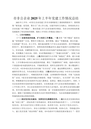 市非公企业2025年上半年党建工作情况总结