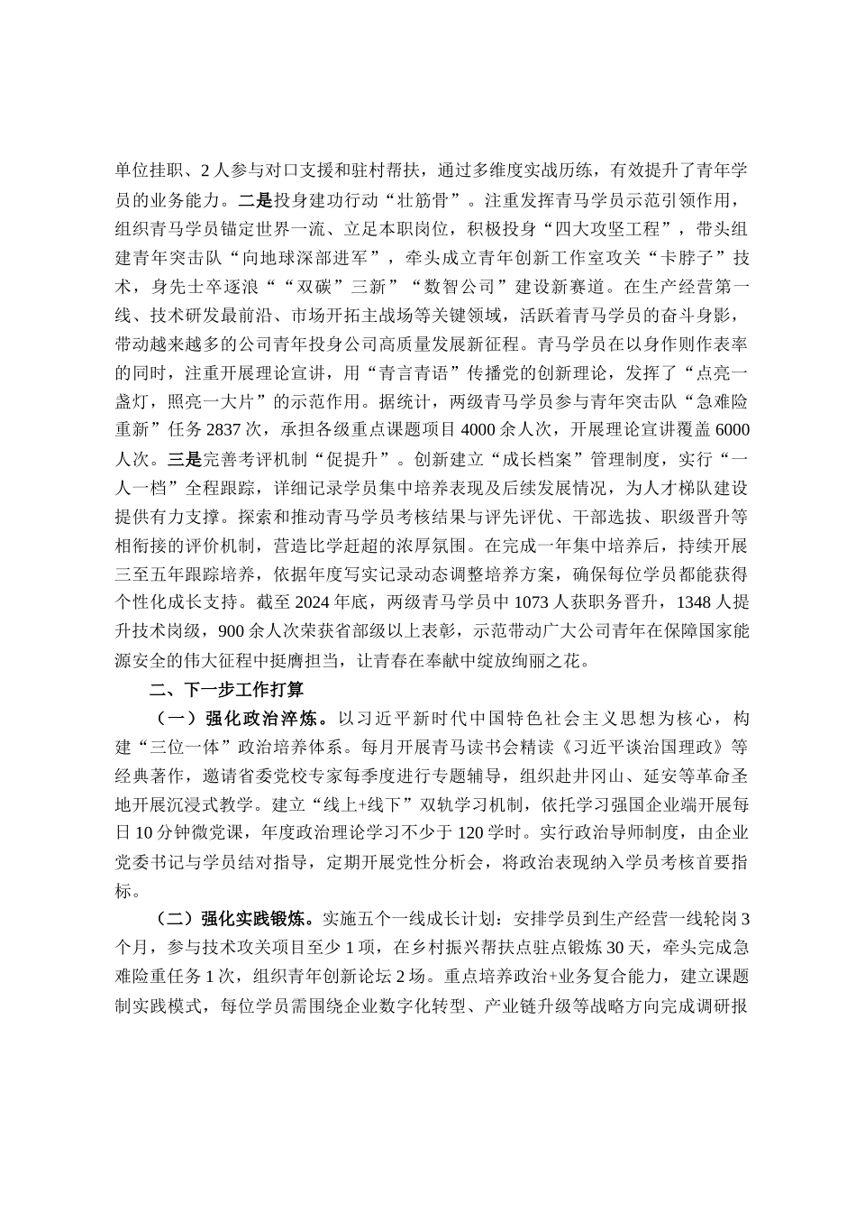 国有企业关于推进青马工程强化青年干部培养工作情况的报告_第3页