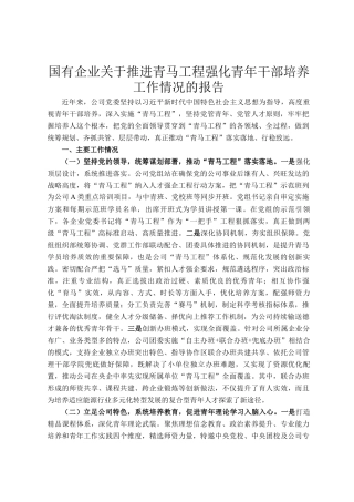 国有企业关于推进青马工程强化青年干部培养工作情况的报告