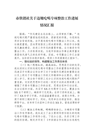 市供销社关于违规吃喝专项整治工作进展情况汇报