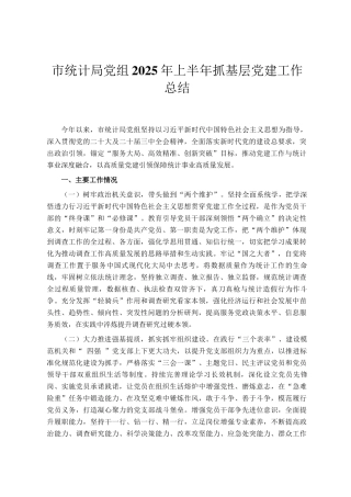 市统计局党组2025年上半年抓基层党建工作总结