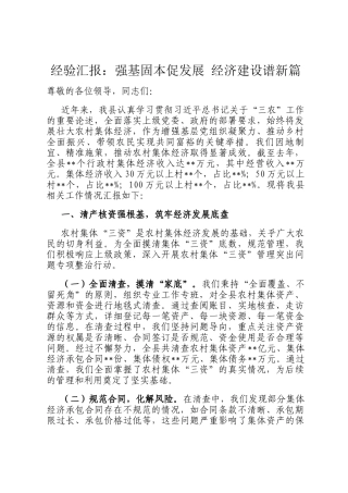 经验汇报：强基固本促发展 经济建设谱新篇