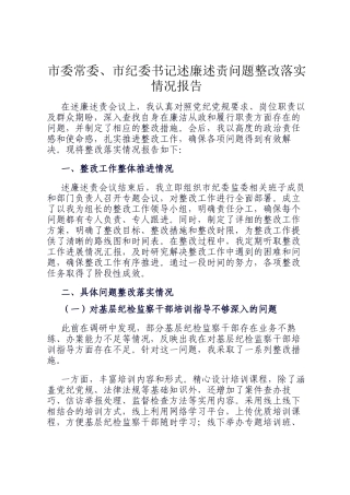 市委常委、市纪委书记述廉述责问题整改落实情况报告
