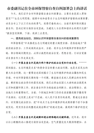 市委副书记在全市环保督察自查自纠部署会上的讲话