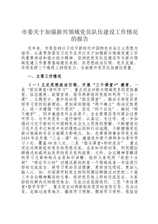 市委关于加强新兴领域党员队伍建设工作情况的报告