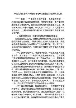 市文化和旅游局关于违规吃喝专项整治工作进展情况汇报