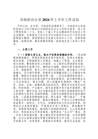 市政府办公室2024年上半年工作总结