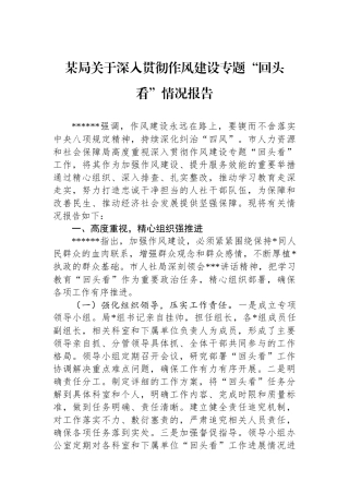 某局关于深入贯彻作风建设专题“回头看”情况报告