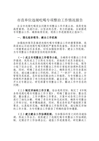 市直单位违规吃喝专项整治工作情况报告