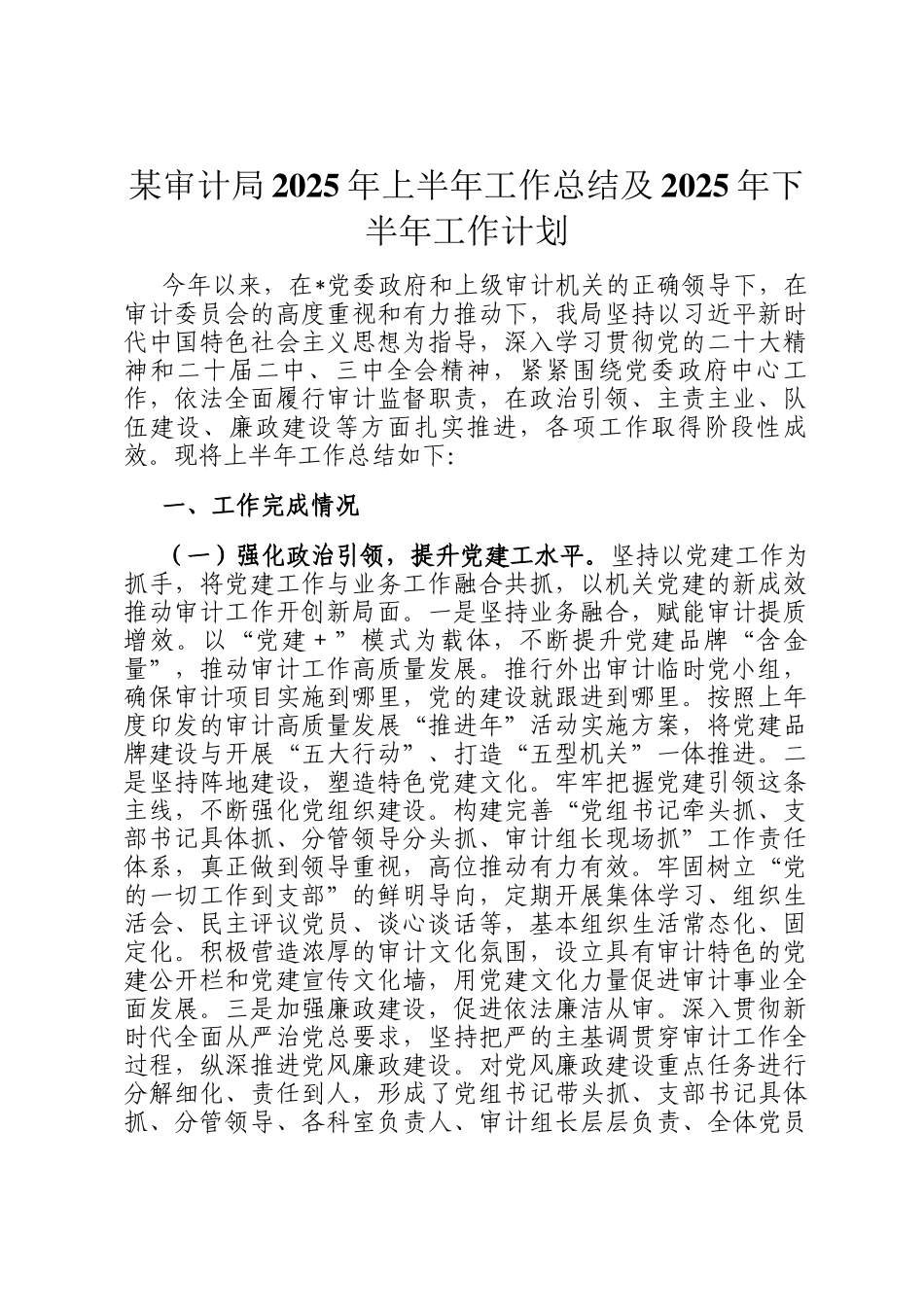 某审计局2025年上半年工作总结及2025年下半年工作计划_第1页