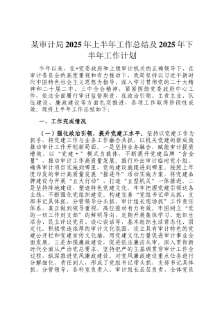 某审计局2025年上半年工作总结及2025年下半年工作计划