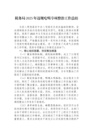 税务局2025年违规吃喝专项整治工作总结
