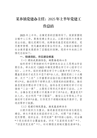 某乡镇党建办主任：2025年上半年党建工作总结