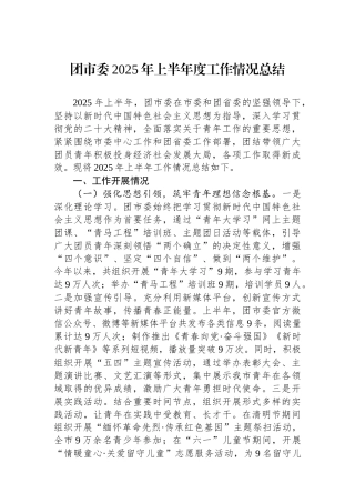 团市委2025年上半年度工作情况总结