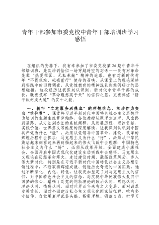 青年干部参加市委党校中青年干部培训班学习感悟