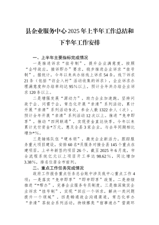 县企业服务中心2025年上半年工作总结和下半年工作安排