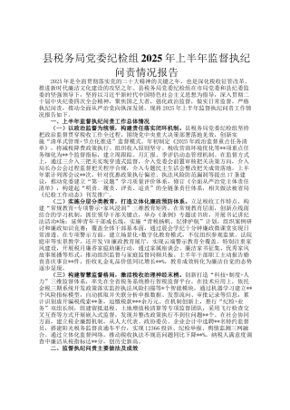 县税务局党委纪检组2025年上半年监督执纪问责情况报告