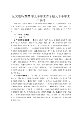 区文旅局2025年上半年工作总结及下半年工作安排
