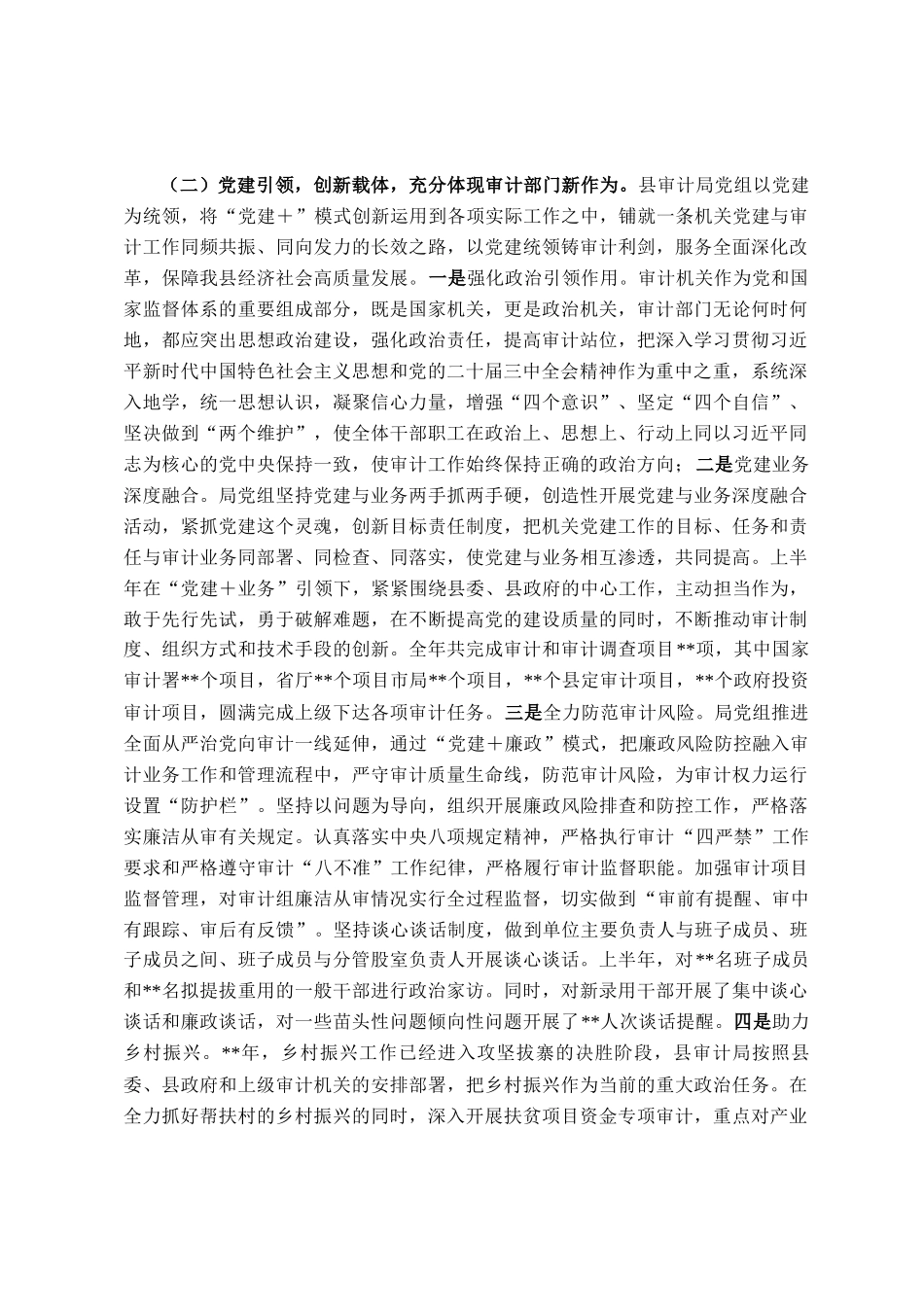 审计局2025年上半年党建工作总结报告_第2页