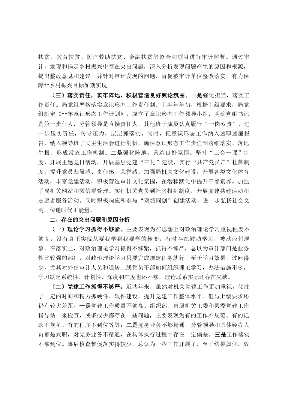 审计局2025年上半年党建工作总结报告_第3页