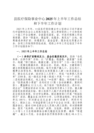 县医疗保险事业中心2025年上半年工作总结和下半年工作计划