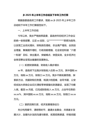 乡2025年上半年工作总结及下半年工作计划打算计划