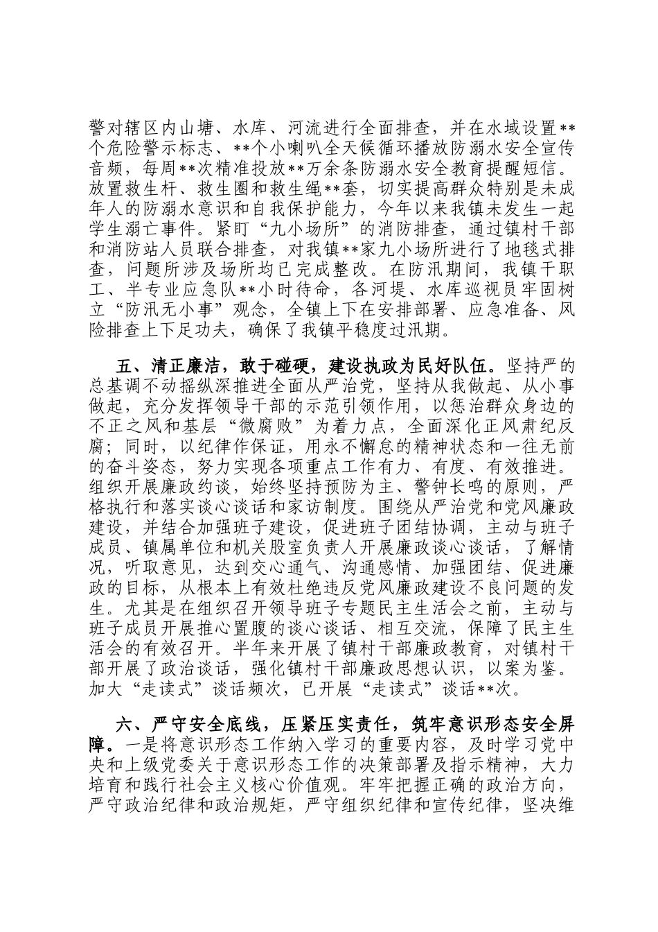 乡镇2025年上半年工作情况总结_第3页