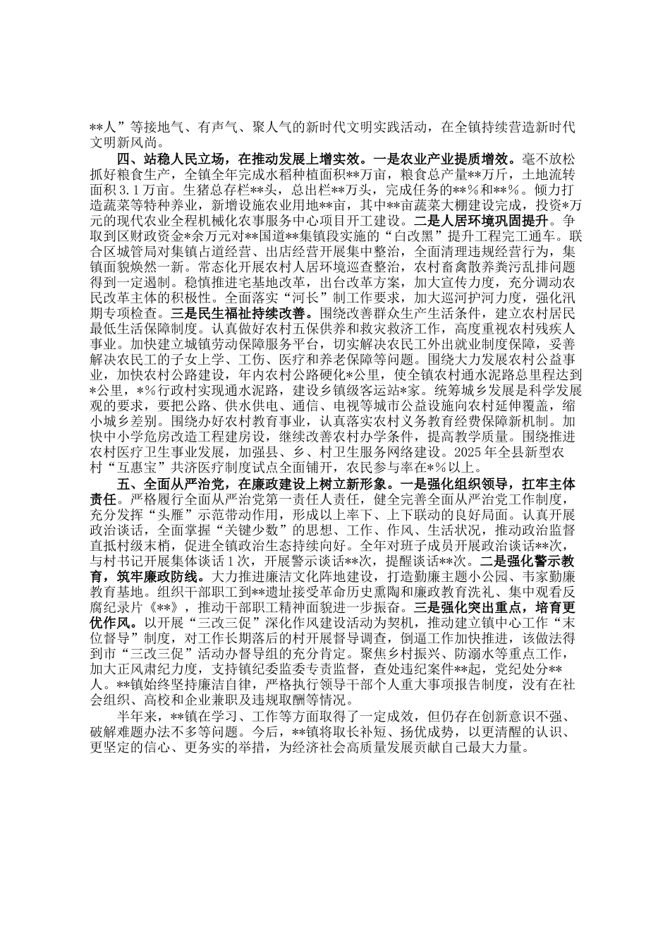 乡镇2025年上半年工作总结_第2页