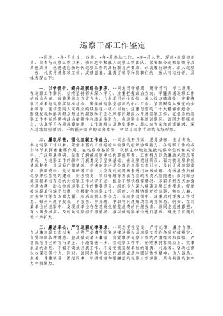 巡察干部工作鉴定