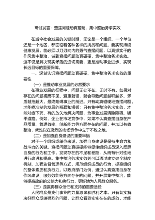 研讨发言：查摆问题动真碰硬，集中整治务求实效
