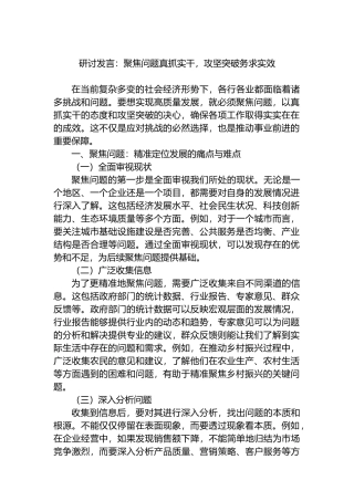 研讨发言：聚焦问题真抓实干，攻坚突破务求实效