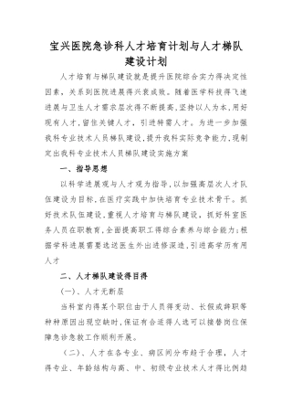 医院急诊科人才梯队建设计划