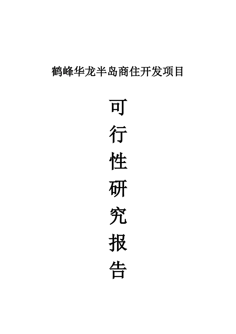 华龙半岛商住开发项目可行性研究报告_第2页