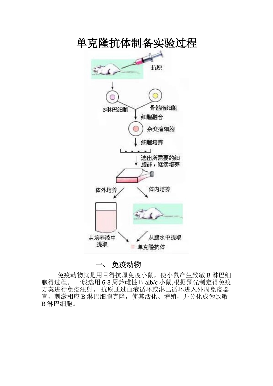 单克隆抗体制备实验过程_第1页