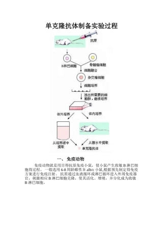 单克隆抗体制备实验过程