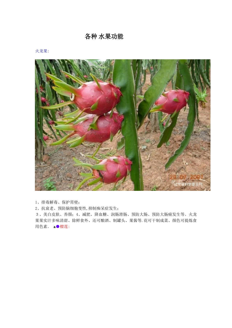 各种水果功能大全_第1页