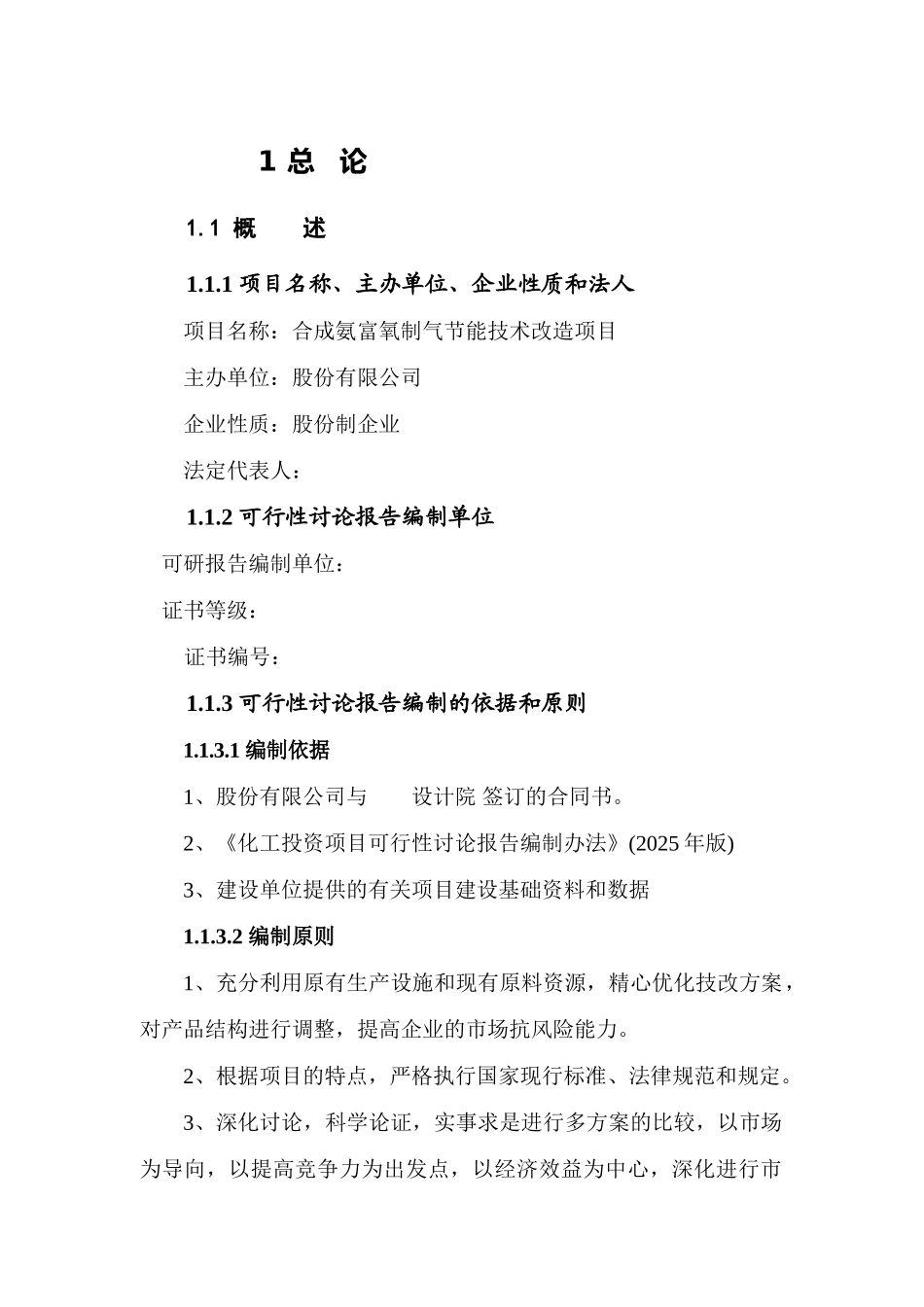 合成氨富氧制气节能技术改造项目可研报告计划书-资金可研报告计划书_第2页