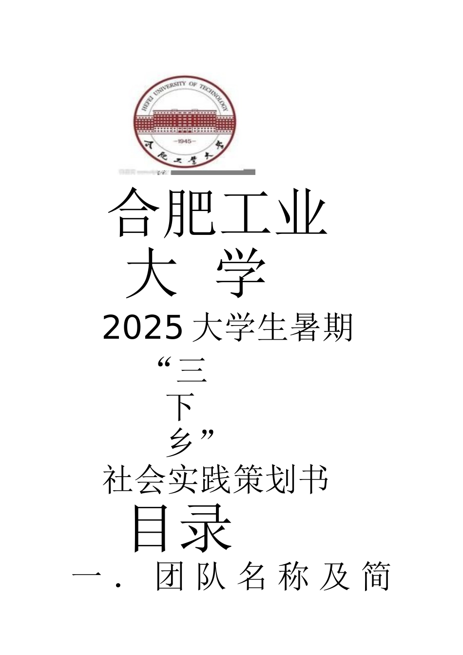 合肥工大2025暑期三下乡策划书学位论文_第2页