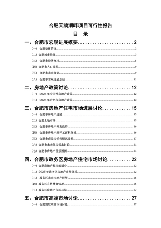 合肥市天鹅湖畔地块项目可行性研究报告