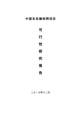 名优橱柜网项目可行性研究报告书