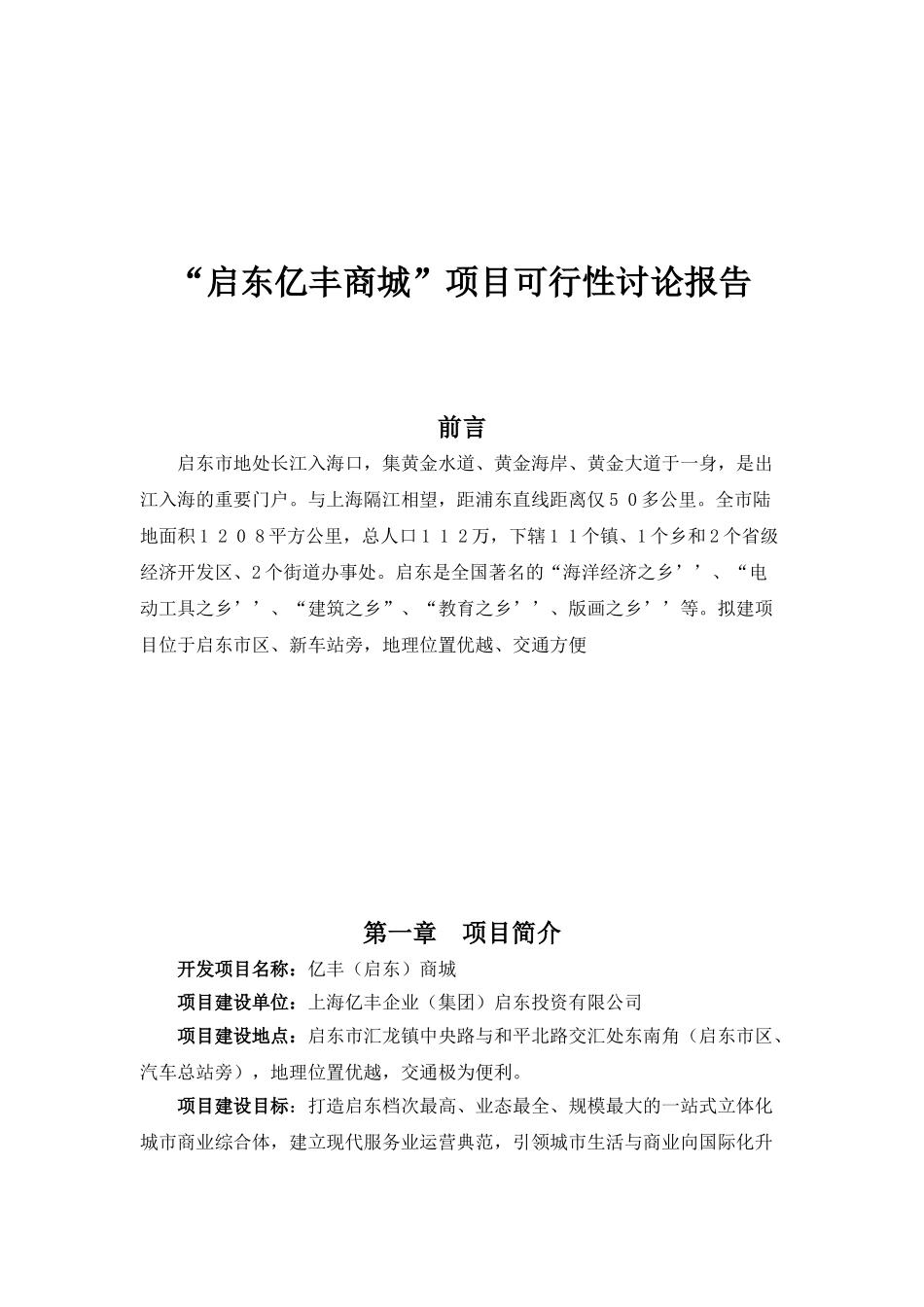 启东亿丰商城项目可行性研究报告_第2页
