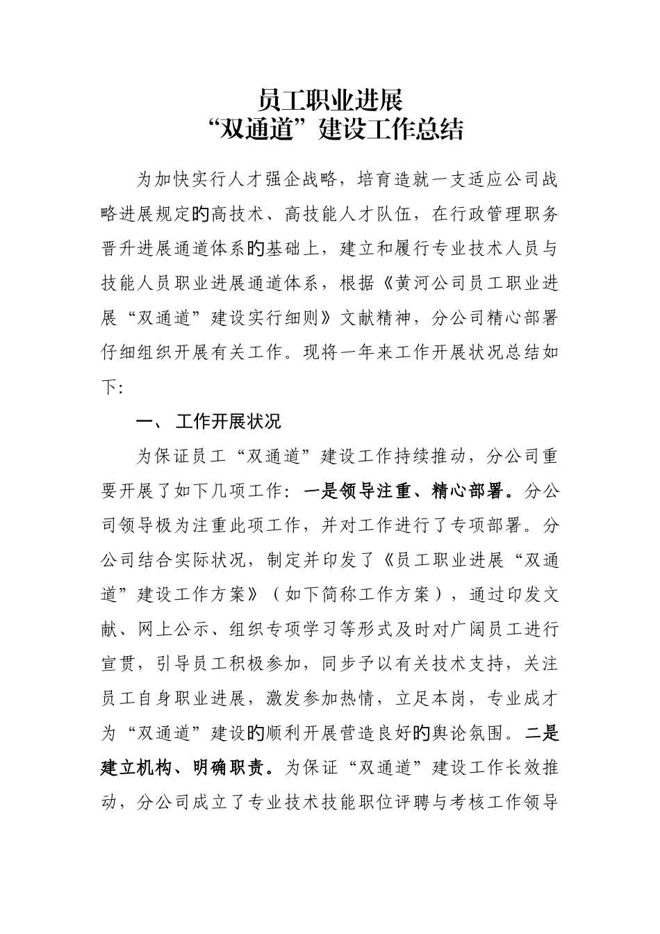 员工职业发展双通道建设工作总结_第1页