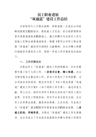 员工职业发展双通道建设工作总结
