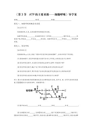 呼吸作用的导学案