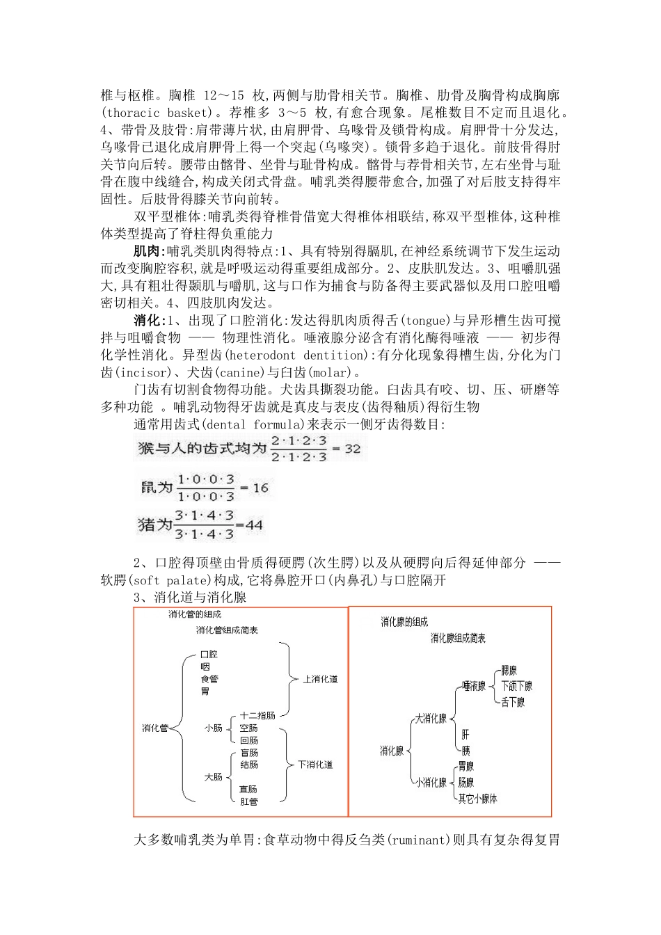 哺乳纲的主要特征_第2页