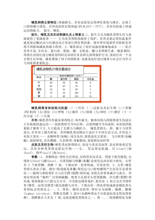 哺乳纲的主要特征