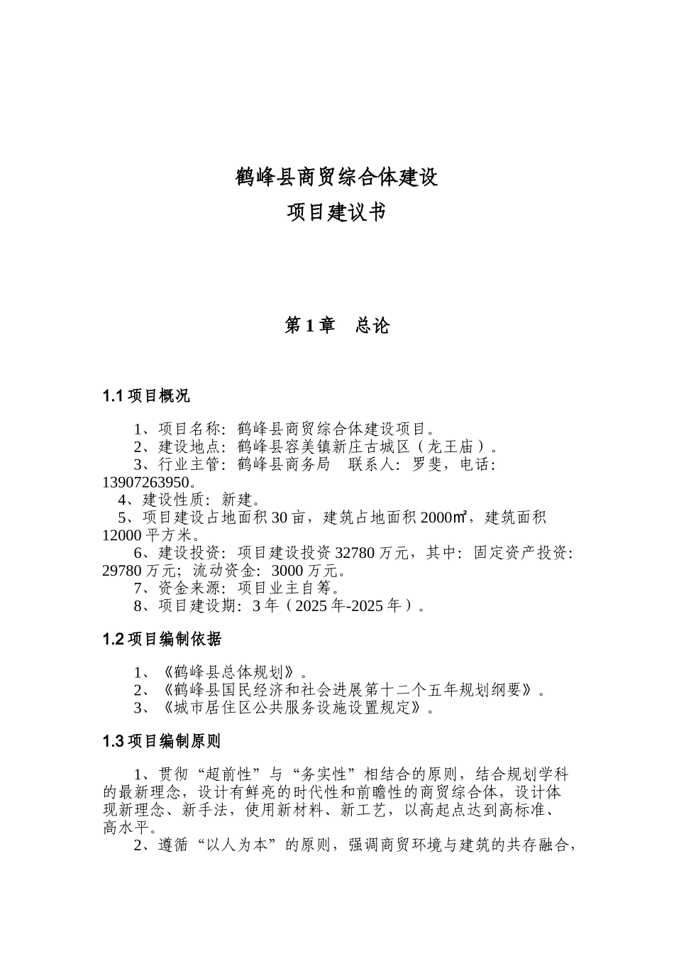 商贸中心可行性研究报告_第3页