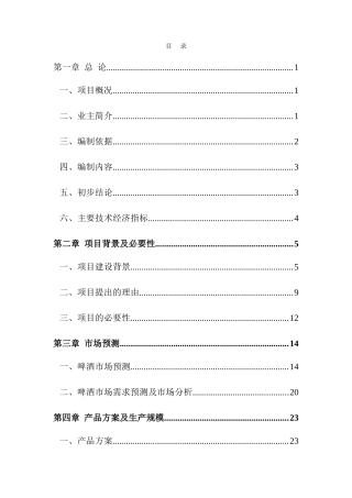 啤酒线扩能技术改造项目投资商业策划报告