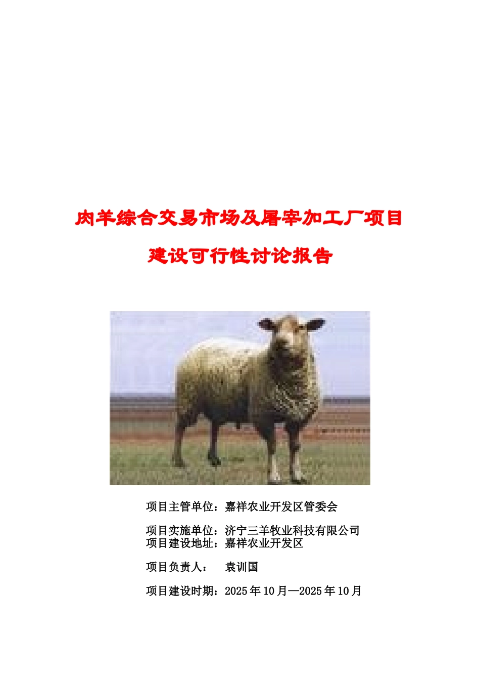 嘉祥县肉羊交易市场及肉羊宰杀项目可研报告_第1页
